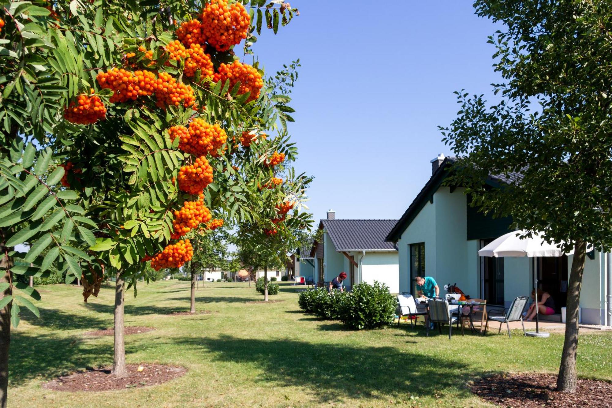 Seepark Auenhain มาร์คเคลแบร์ก ห้อง รูปภาพ
